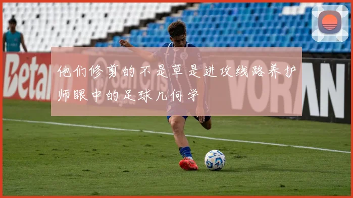 他们修剪的不是草是进攻线路养护师眼中的足球几何学